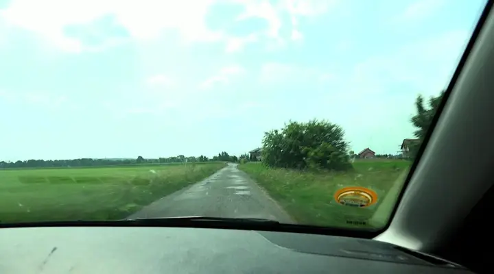 Tschechische Milf Ali Bordeaux gestoppt geilen Fahrer