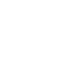 Pollux Network